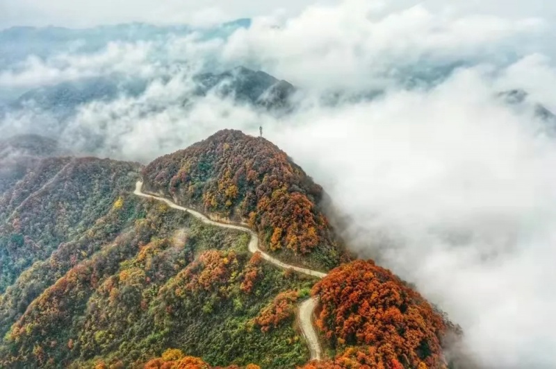鬼谷岭 秋 鬼谷岭 秋