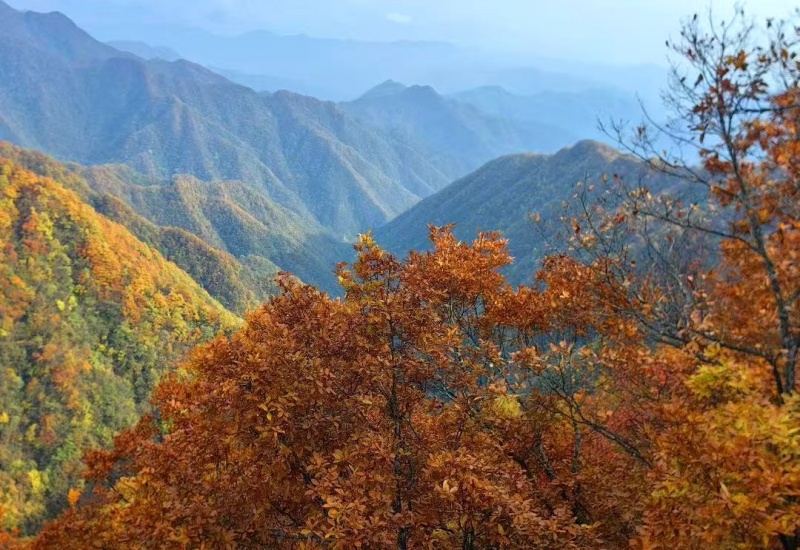 鬼谷岭 秋 鬼谷岭 秋