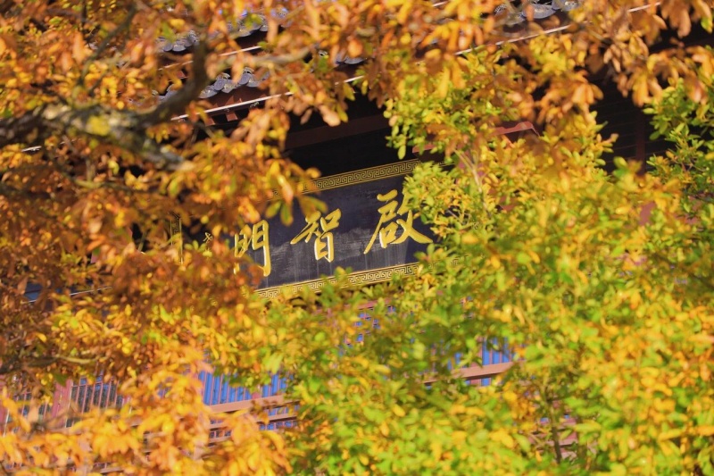 鬼谷岭 秋 鬼谷岭 秋