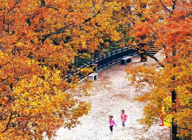 鬼谷岭 秋 鬼谷岭 秋