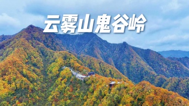 【免门票| 云雾山鬼谷岭秋色】11月6/8日 私藏秦巴五彩斑斓 秋然云雾山鬼谷岭 1日