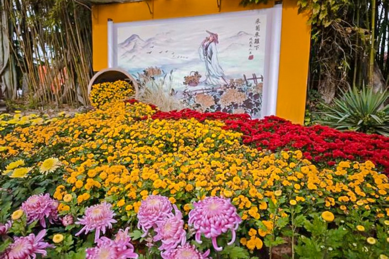 宝鸡植物园菊展 