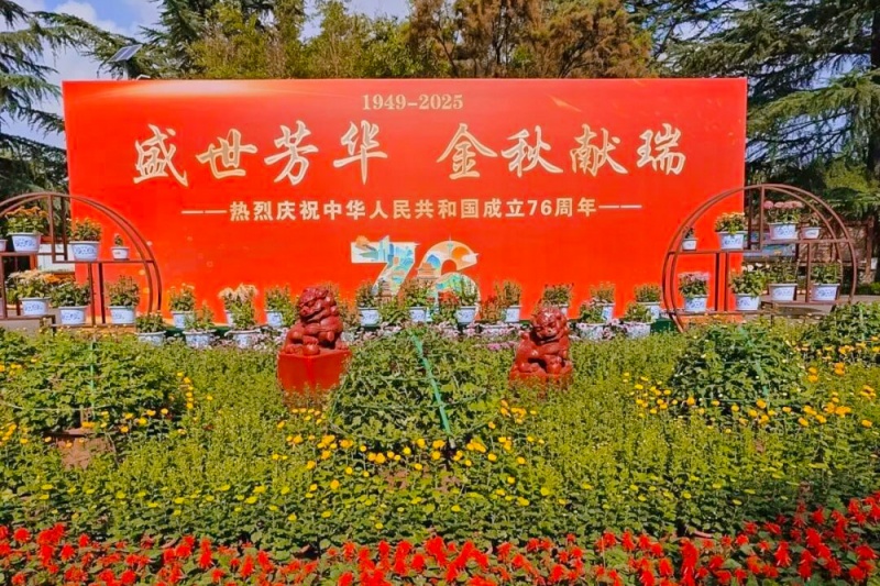 宝鸡植物园菊展 