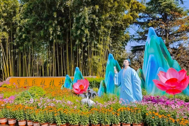 宝鸡植物园菊展 