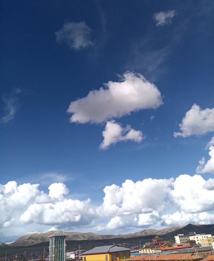682cea5335344.jpg