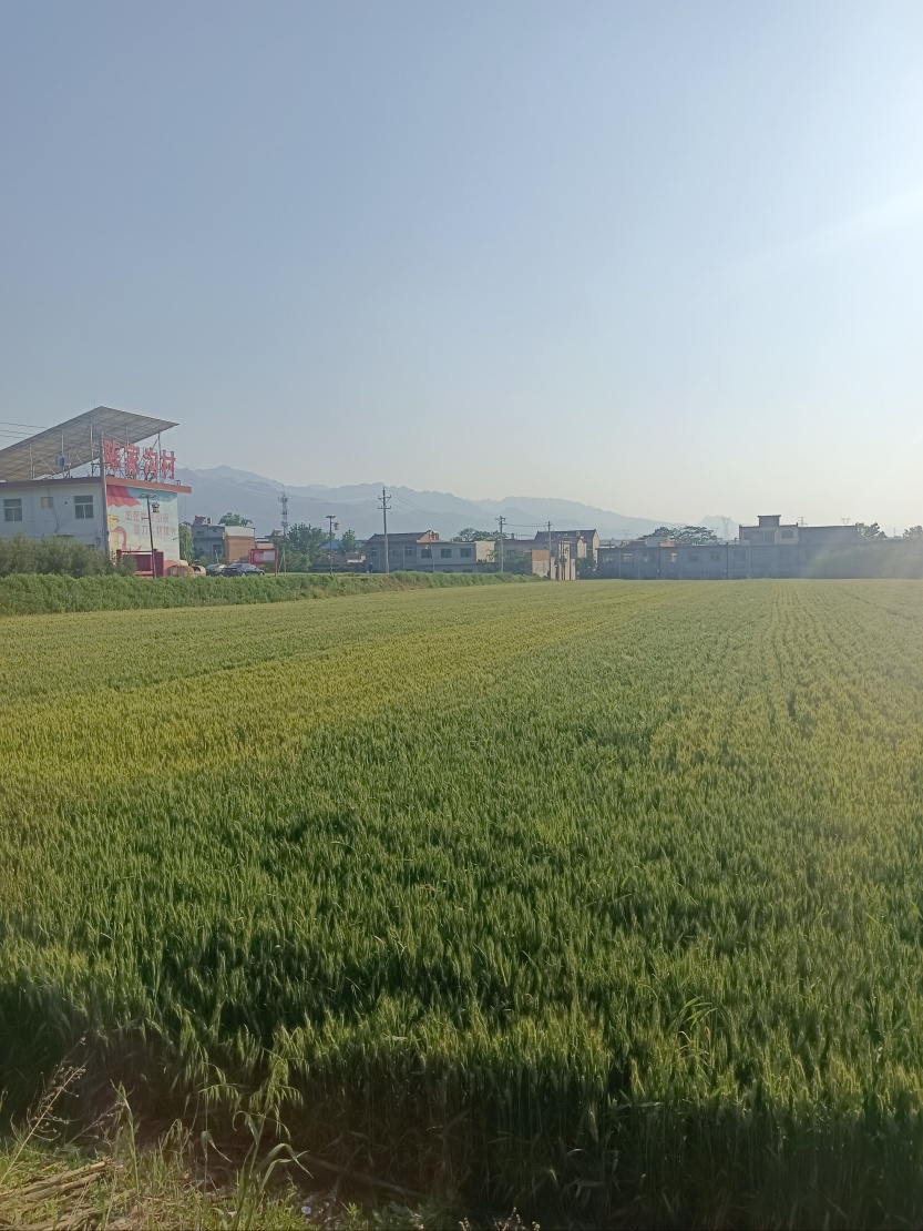 6835286f155bb.jpg