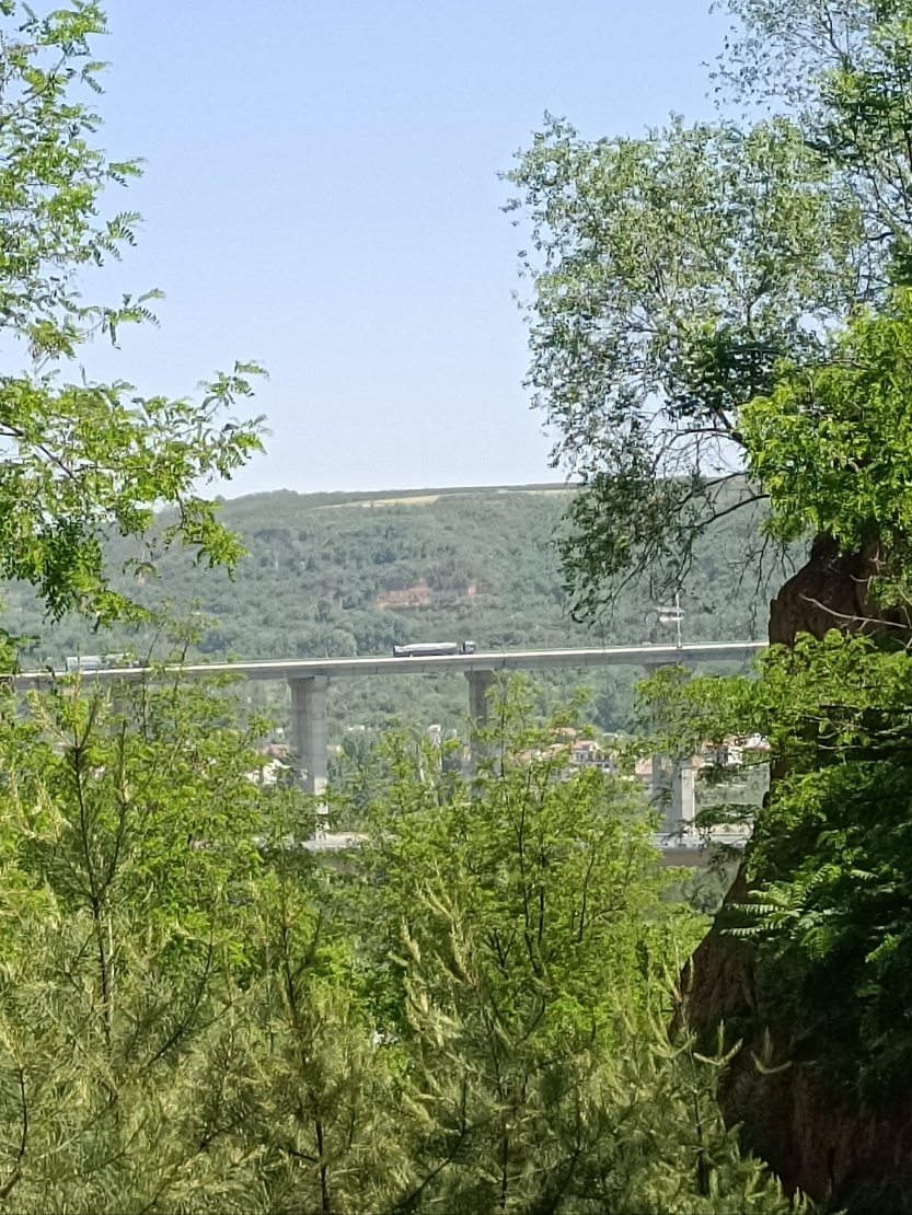 6835290e0b365.jpg