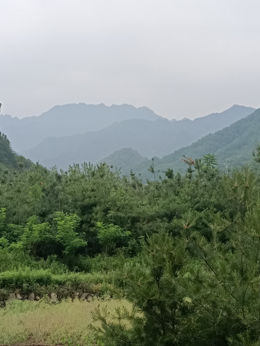 683e637c95845.jpg