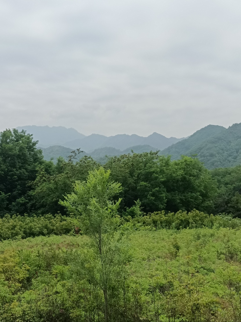 683e63eab4178.jpg