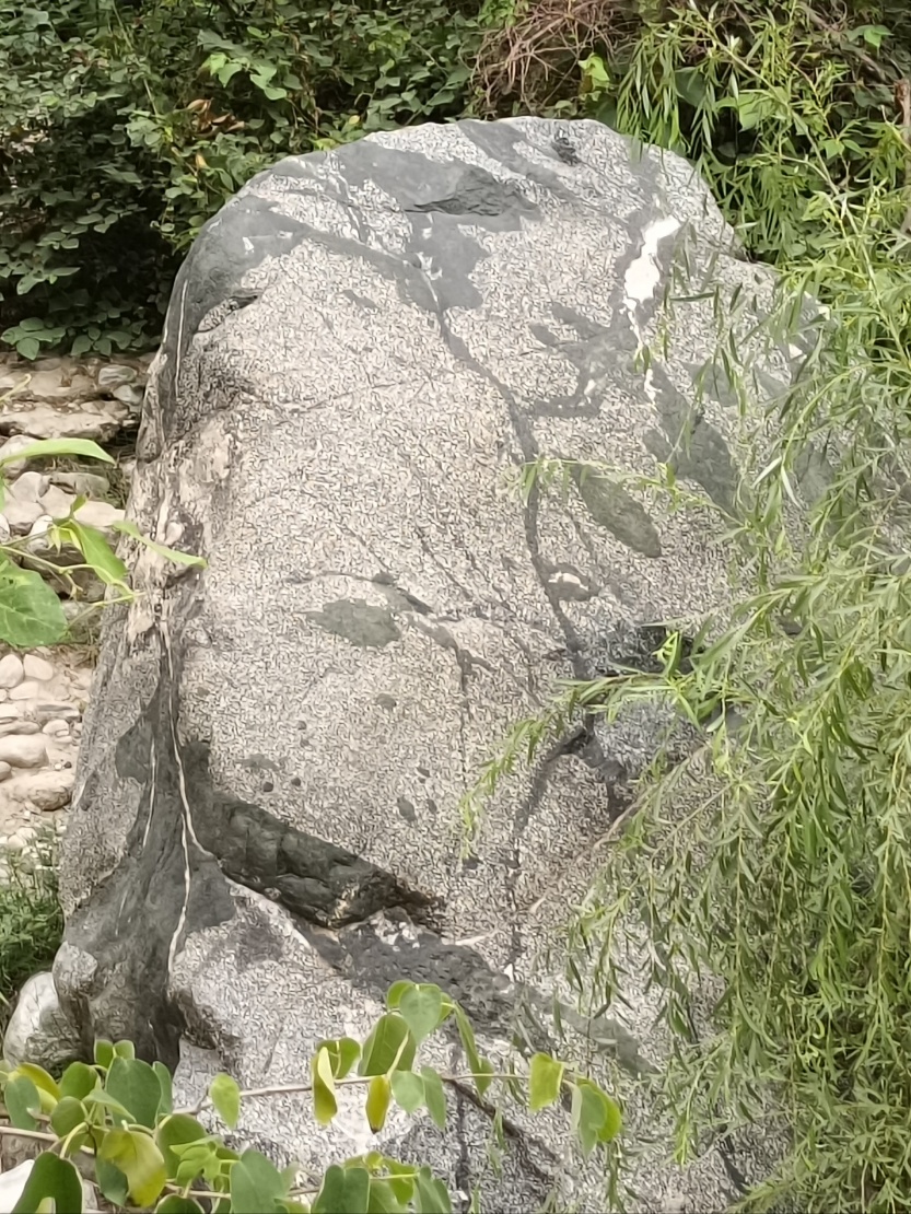 685176b8986e3.jpg