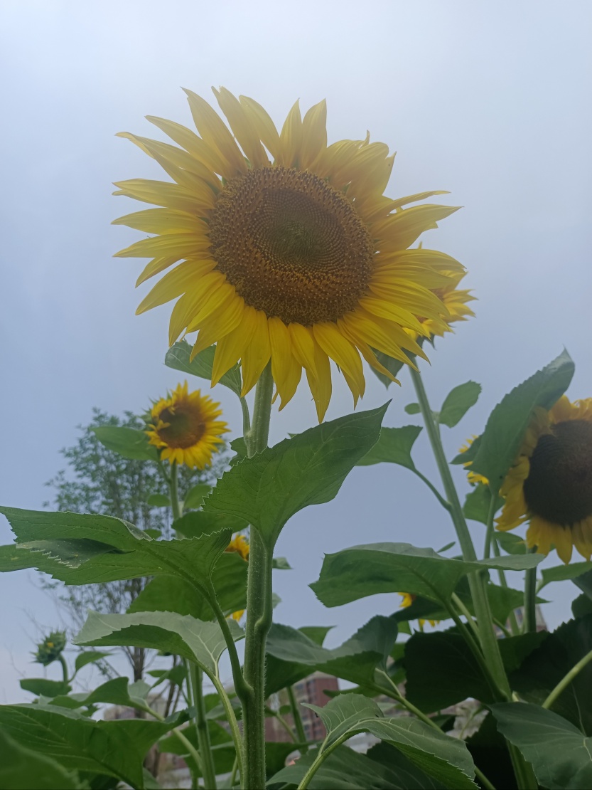 6859d353bb0ec.jpg