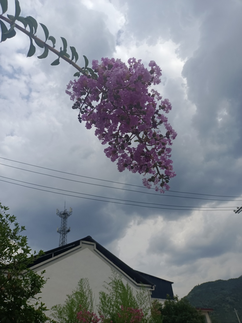 6859d3573ed71.jpg
