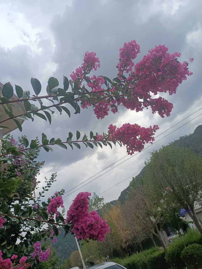 6859d3983055c.jpg