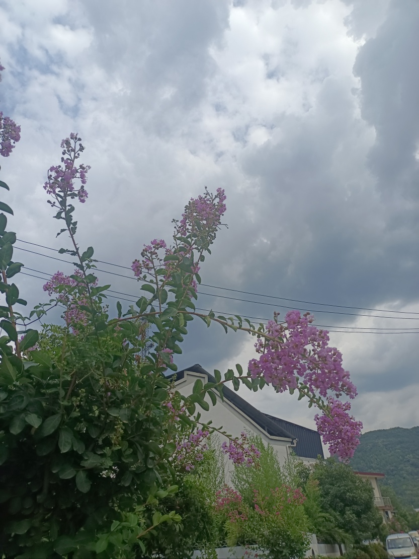 6859d524497c2.jpg