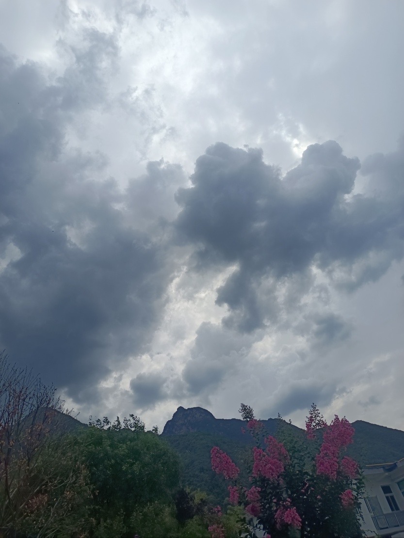 6859d9686bc05.jpg