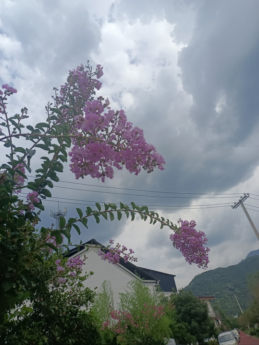6859d96b1d016.jpg
