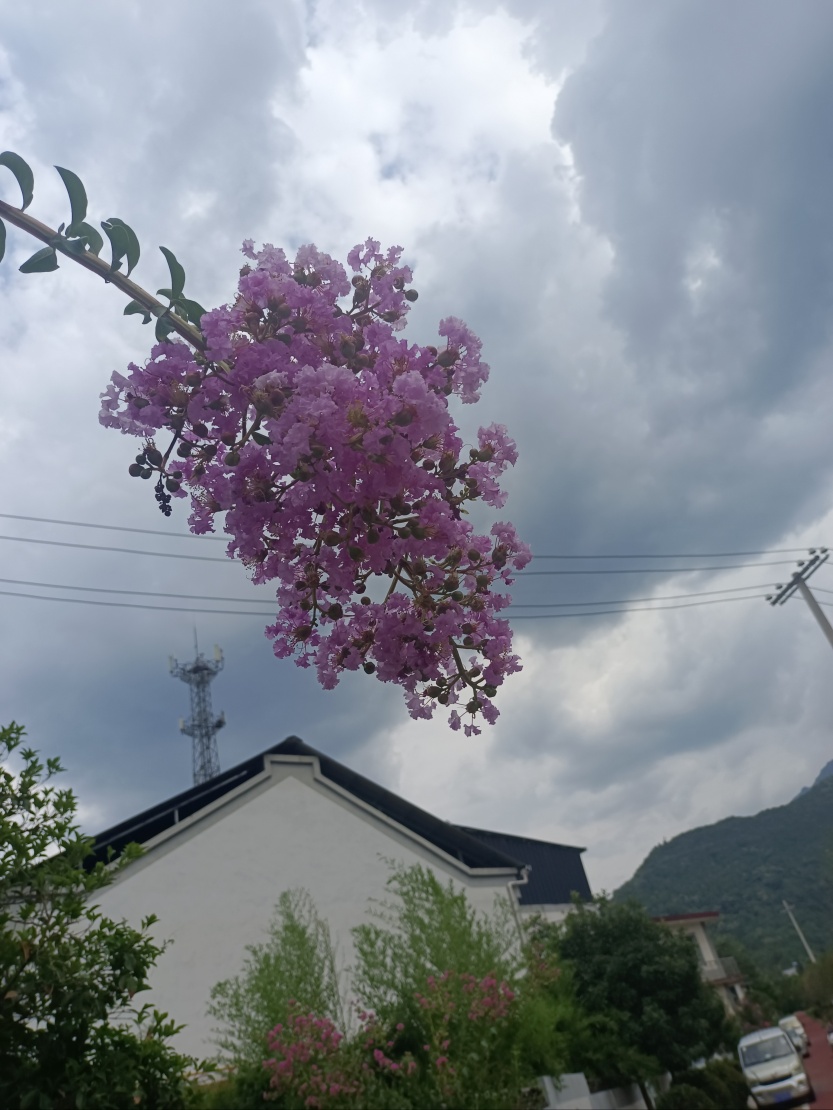 6859d96df141b.jpg