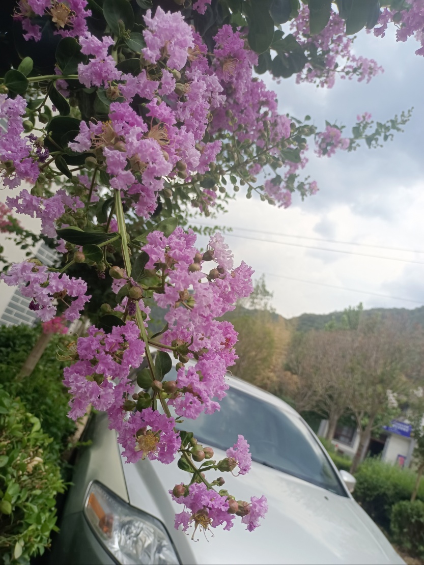 6859d9b0caa81.jpg