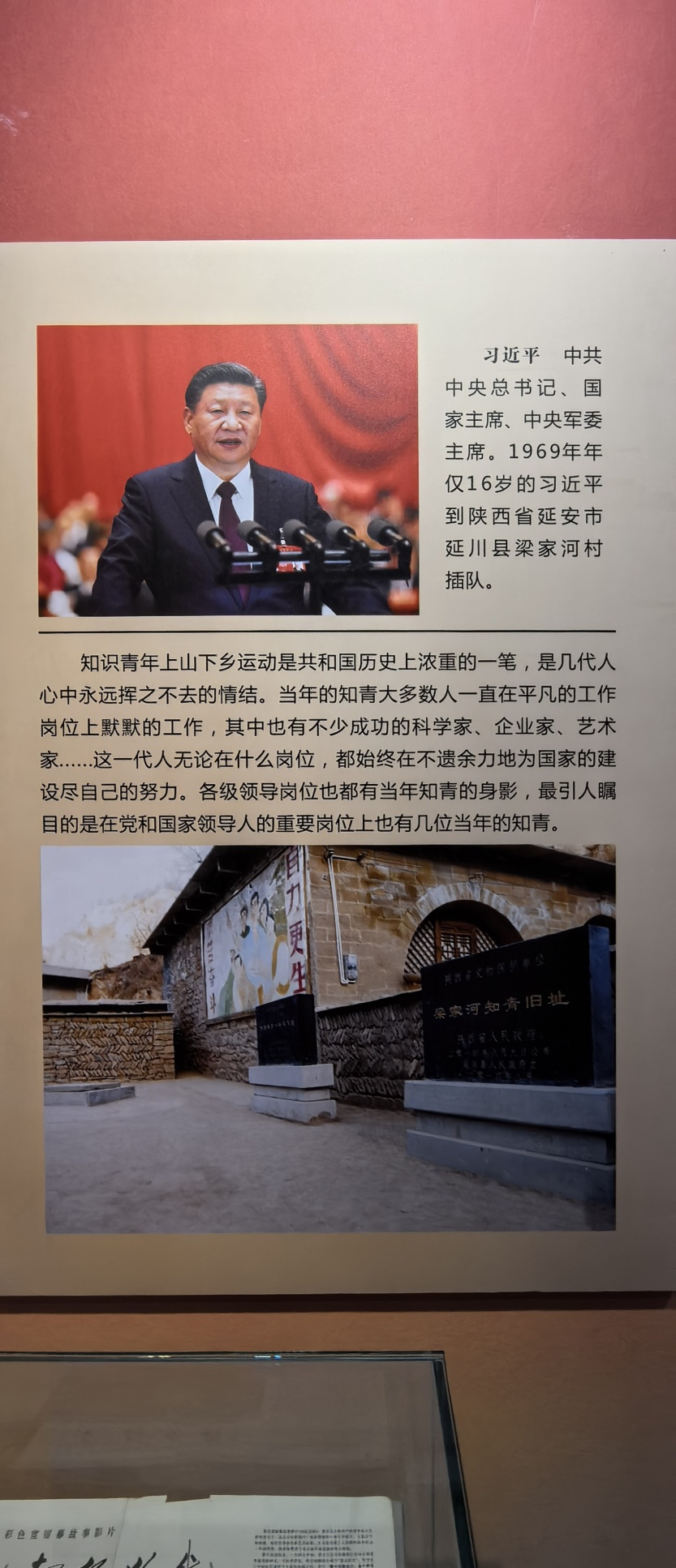 685a51eda4781.jpg
