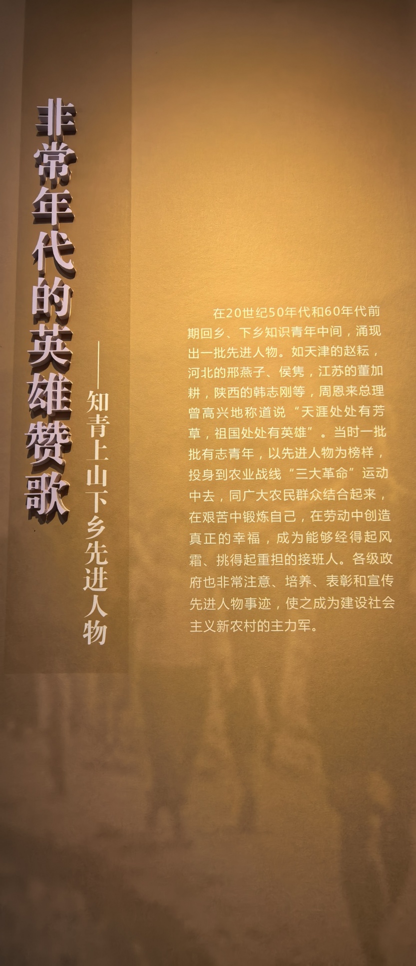 685a51f33b023.jpg