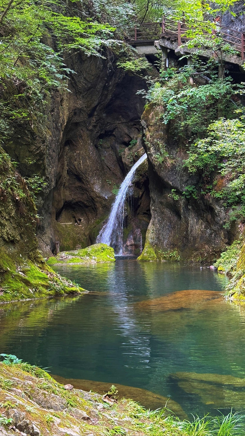 6867d9464506a.jpg