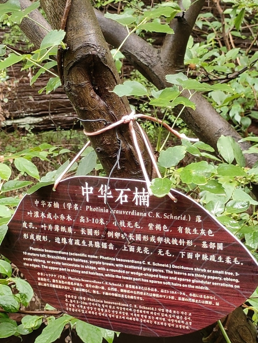 686d1819ad9be.jpg