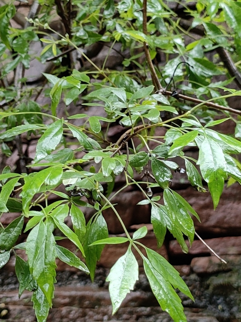 686d181a1464e.jpg