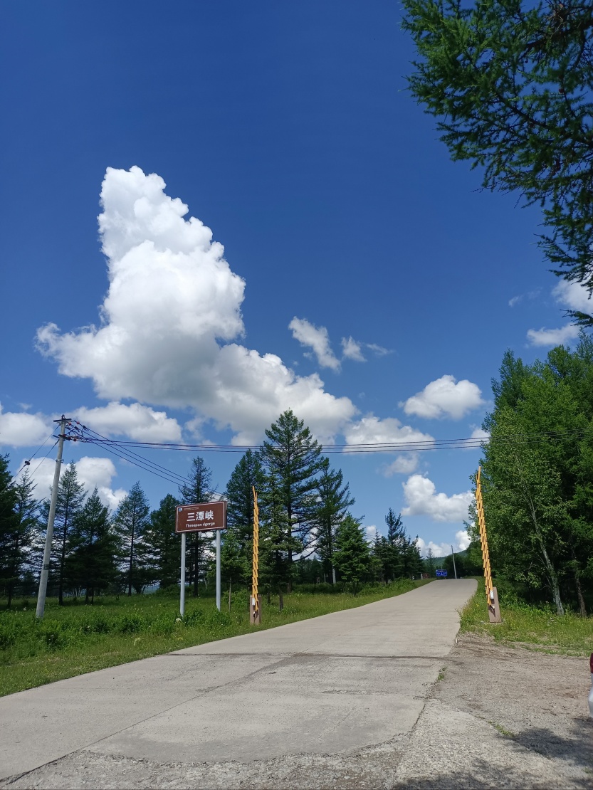 6888d5667cb60.jpg