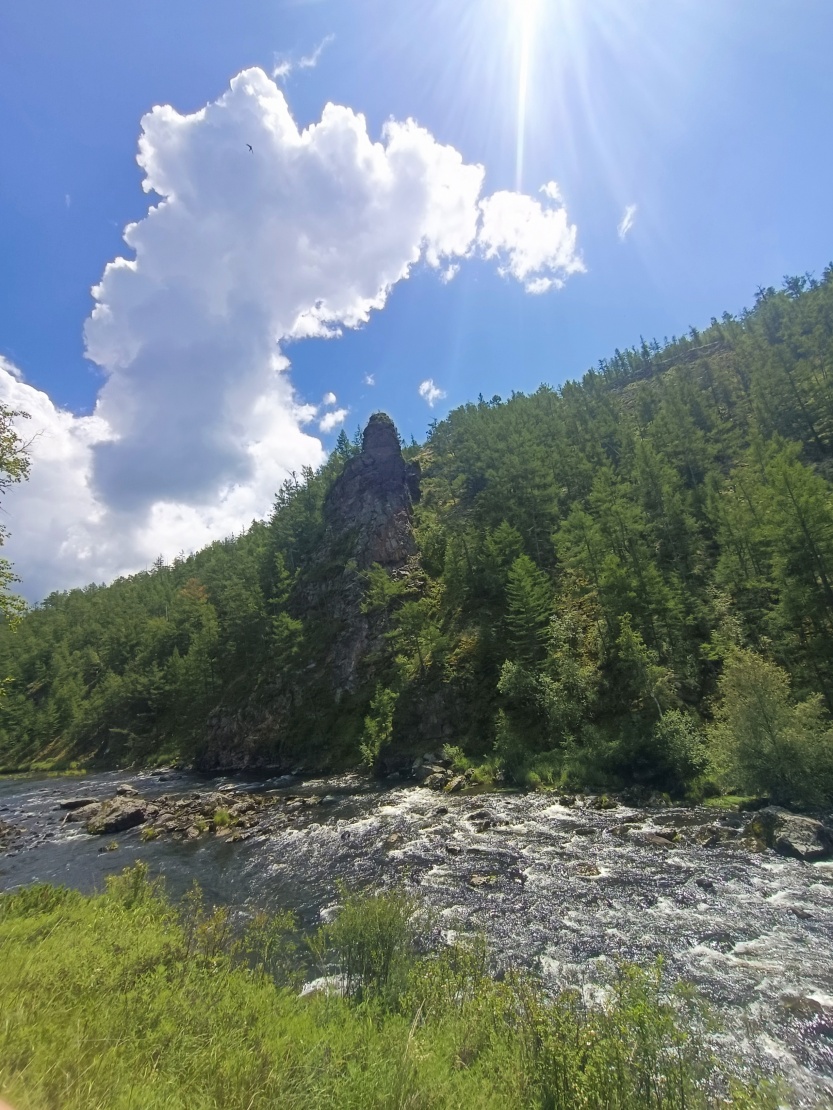 6888d62197398.jpg