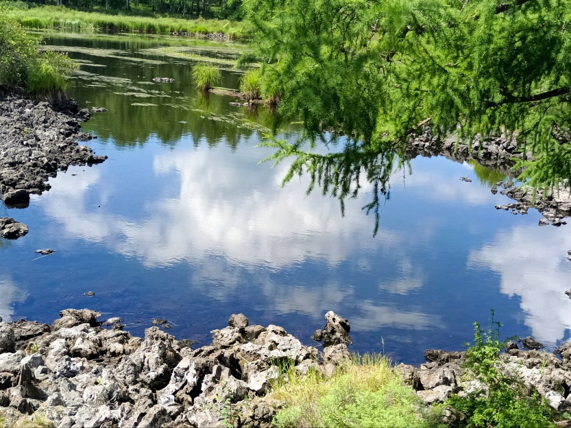 6888d77f86220.jpg
