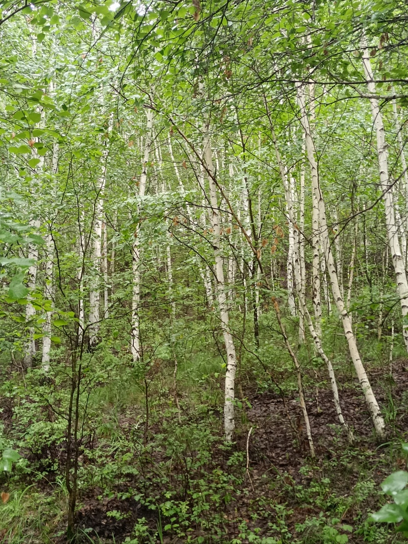 688a1d0b69170.jpg