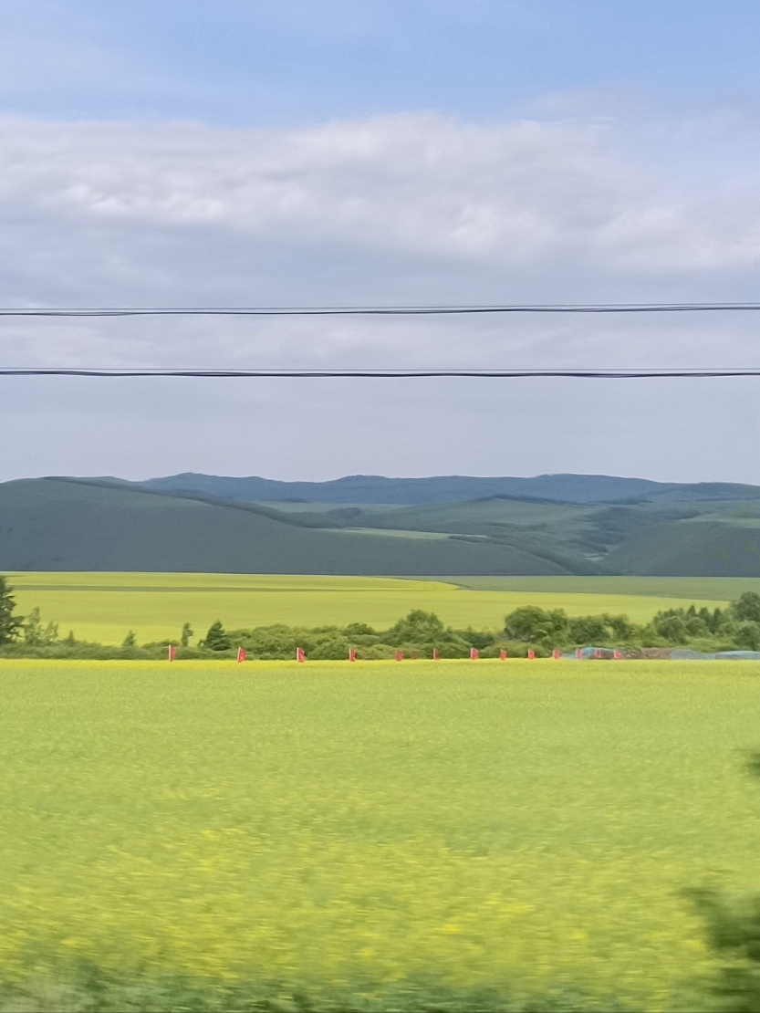 688a2d1160db9.jpg