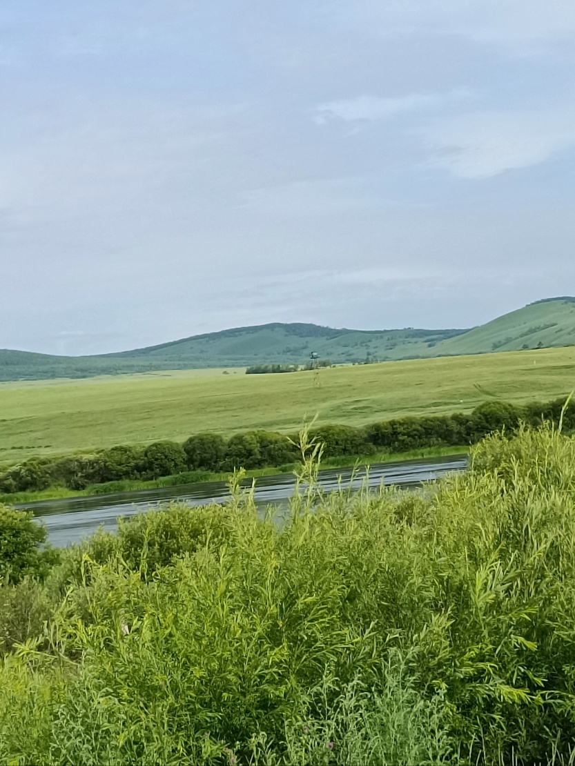 688a2d1472f75.jpg