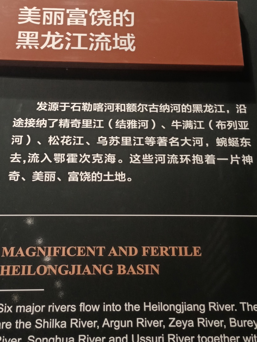 688cc4078d29f.jpg