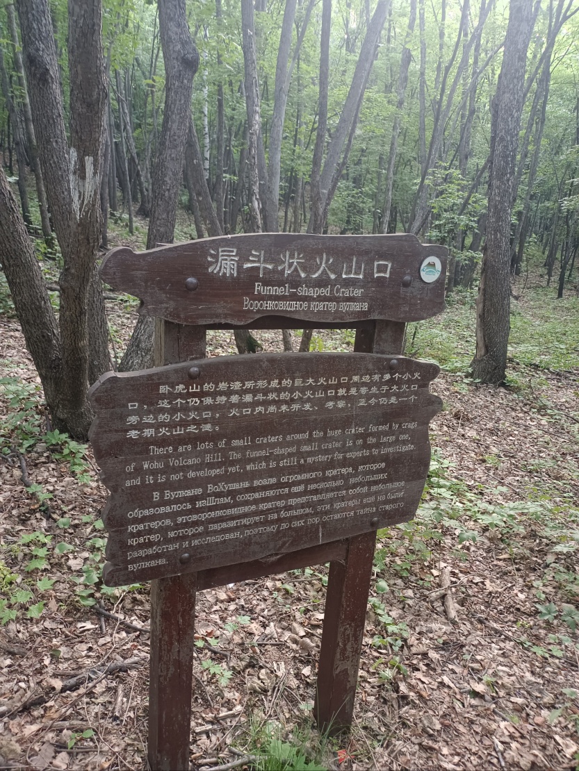 688cc594b4330.jpg