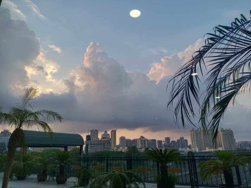 6892743c631e4.jpg