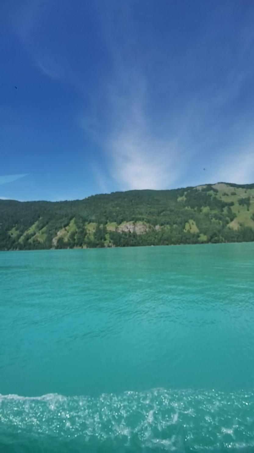 6893fa58617c0.jpg