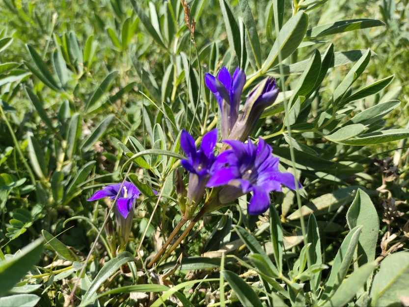 689c5d7e688c4.jpg