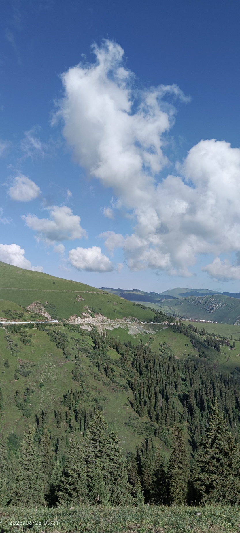 689d5a1771358.jpg
