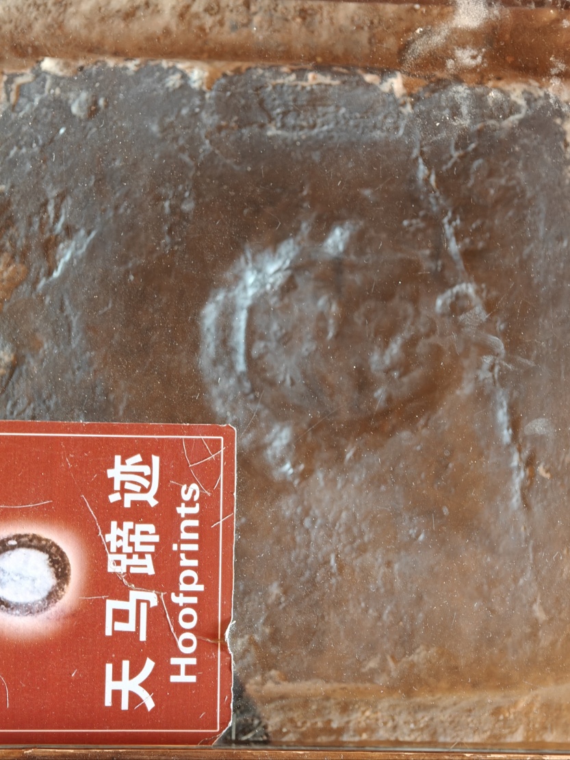 689d86a8385de.jpg