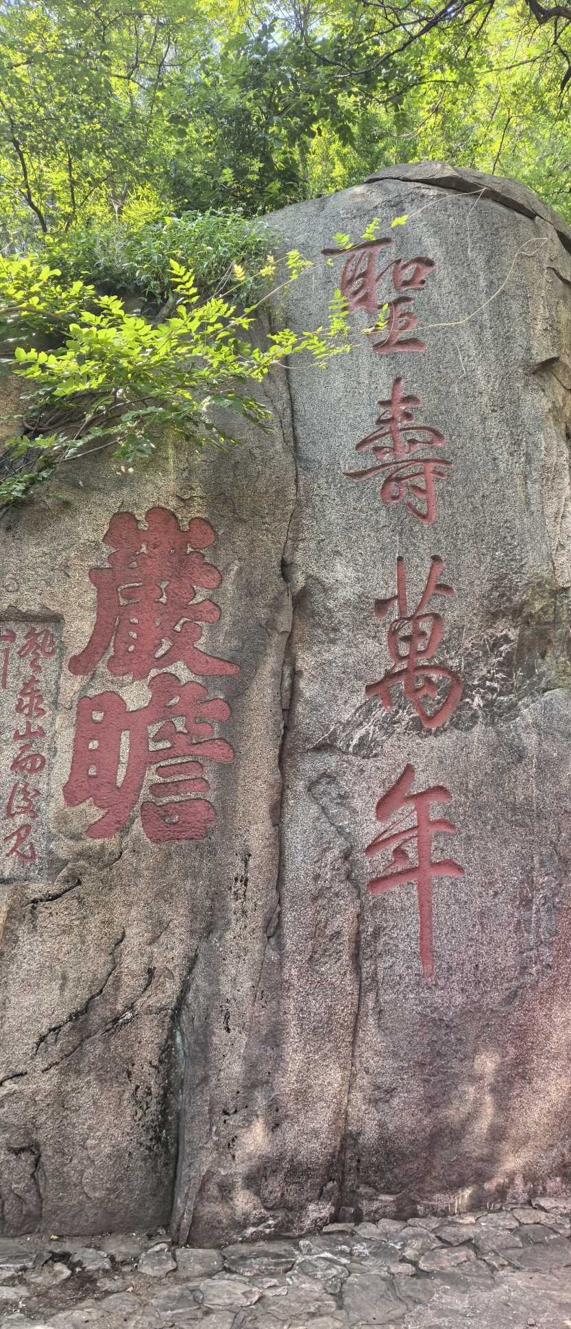 68c08bc2ce920.jpg