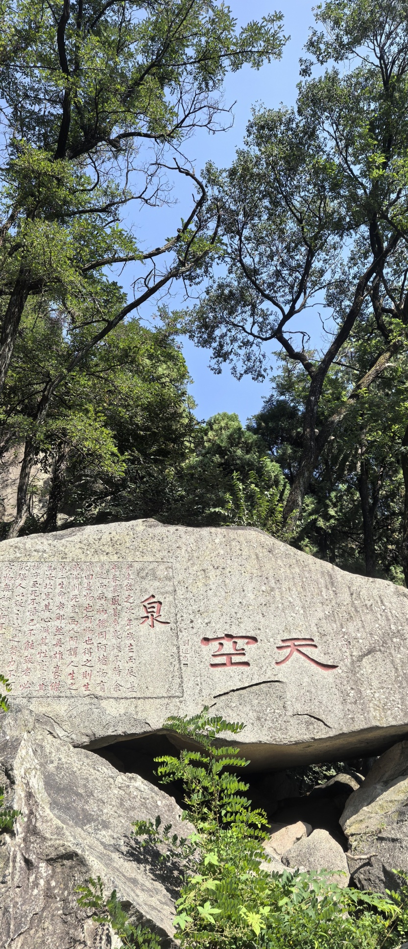 68c08bc6d4a78.jpg
