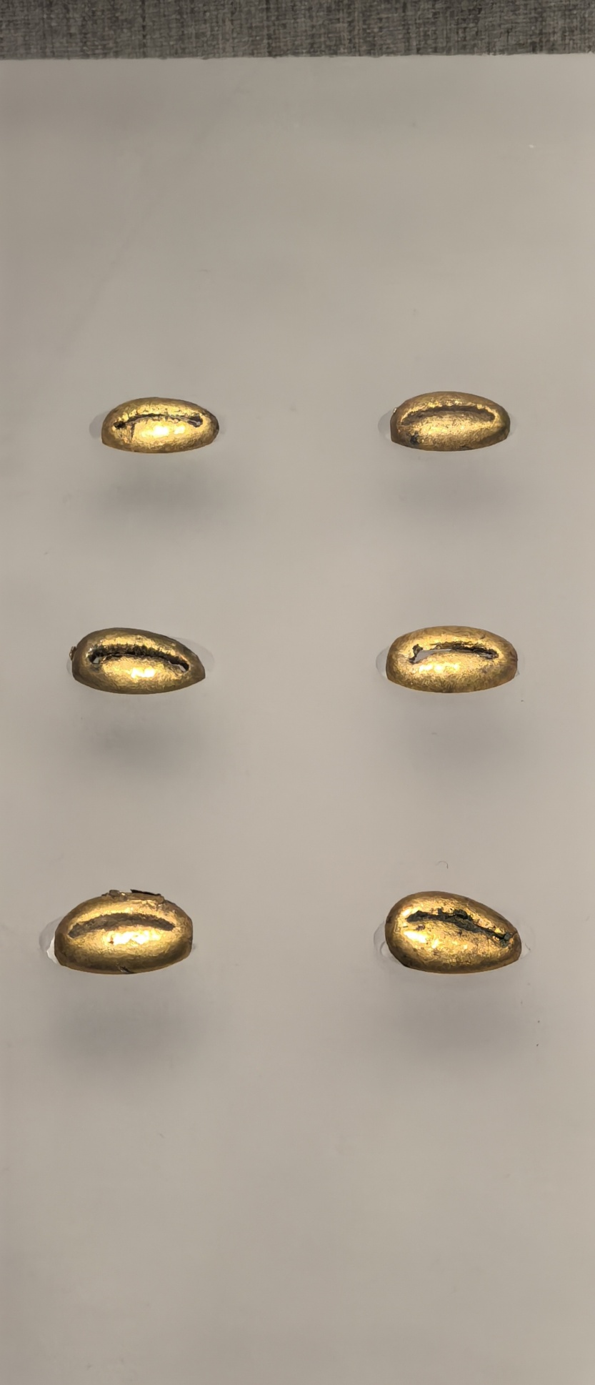 68c1dcc2188e9.jpg
