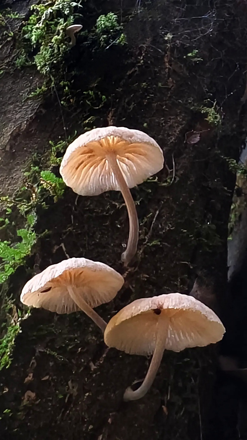 68c73c74b06d8.jpg