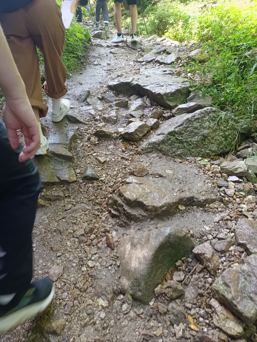 68c77965f1195.jpg