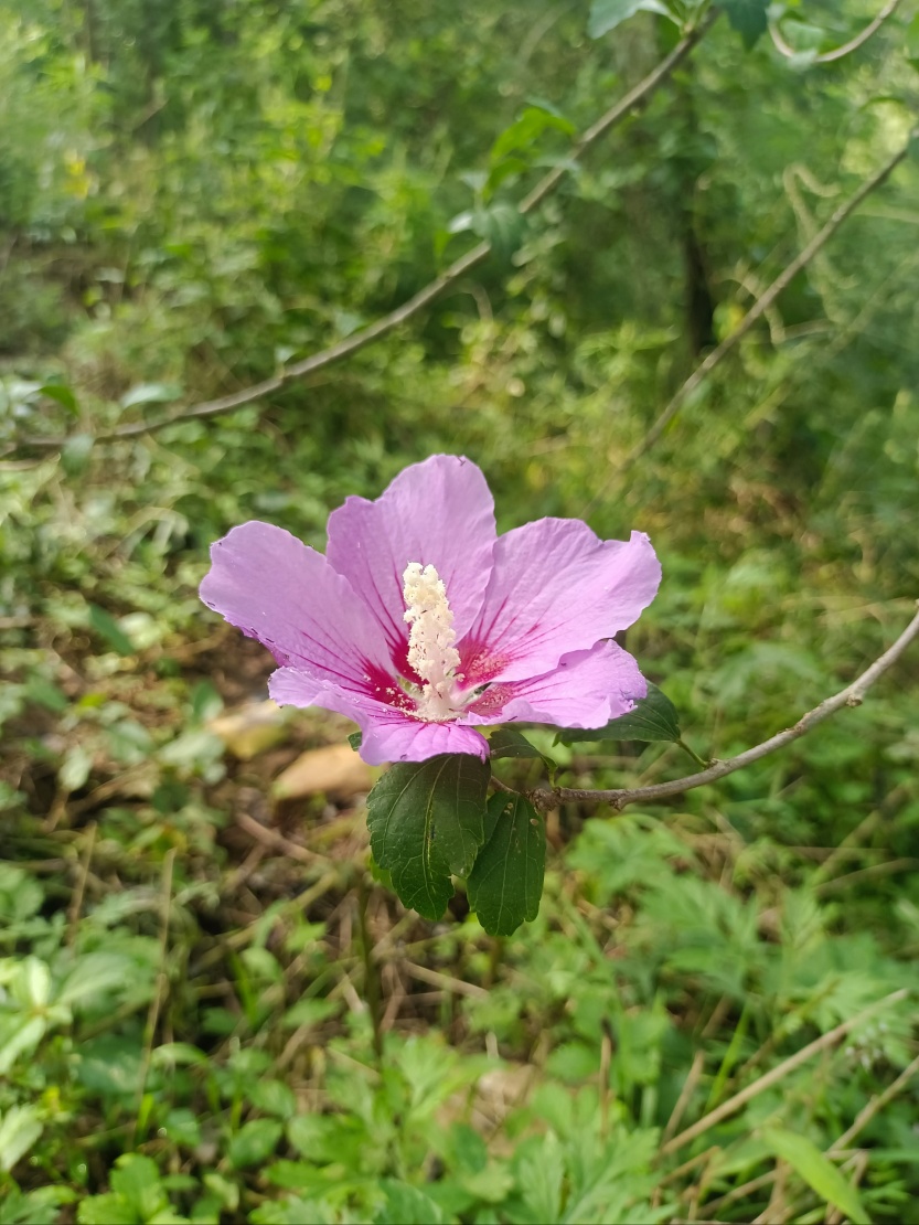 68c77c799d0a6.jpg
