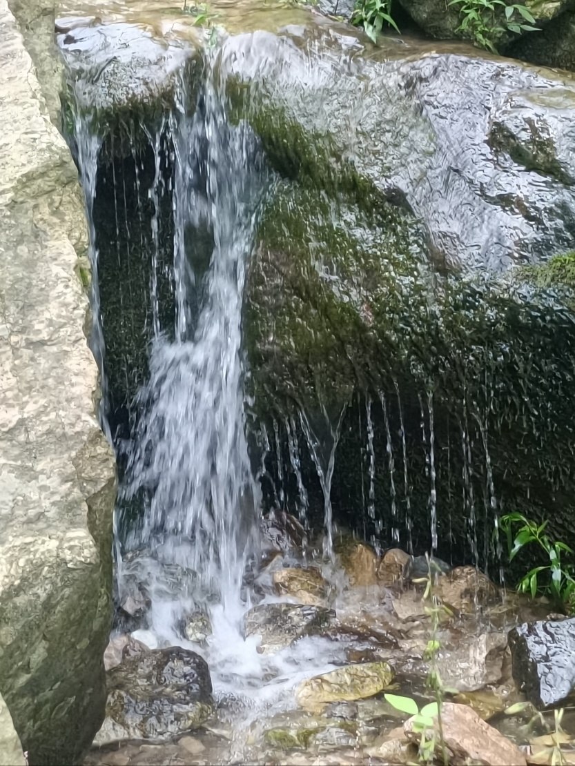 68c77c7d71380.jpg