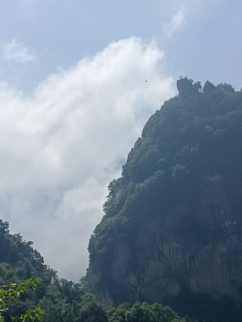 68c789c562994.jpg
