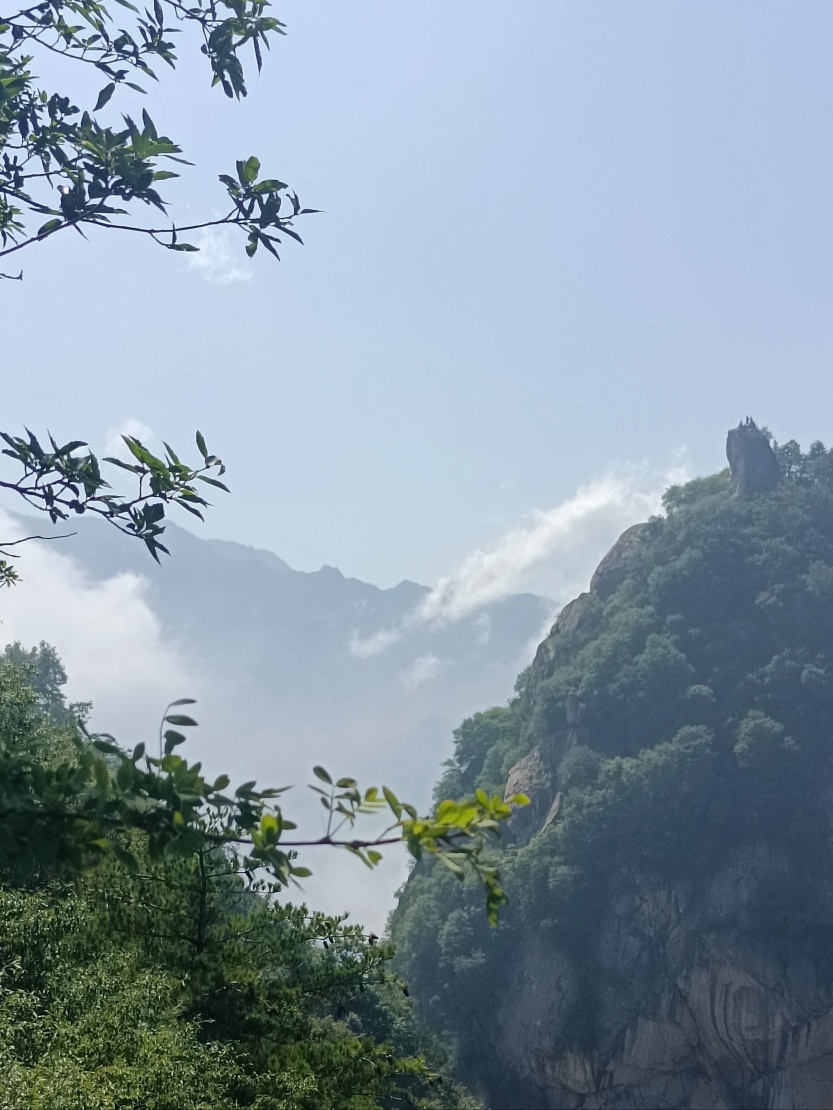 68c78a058d567.jpg