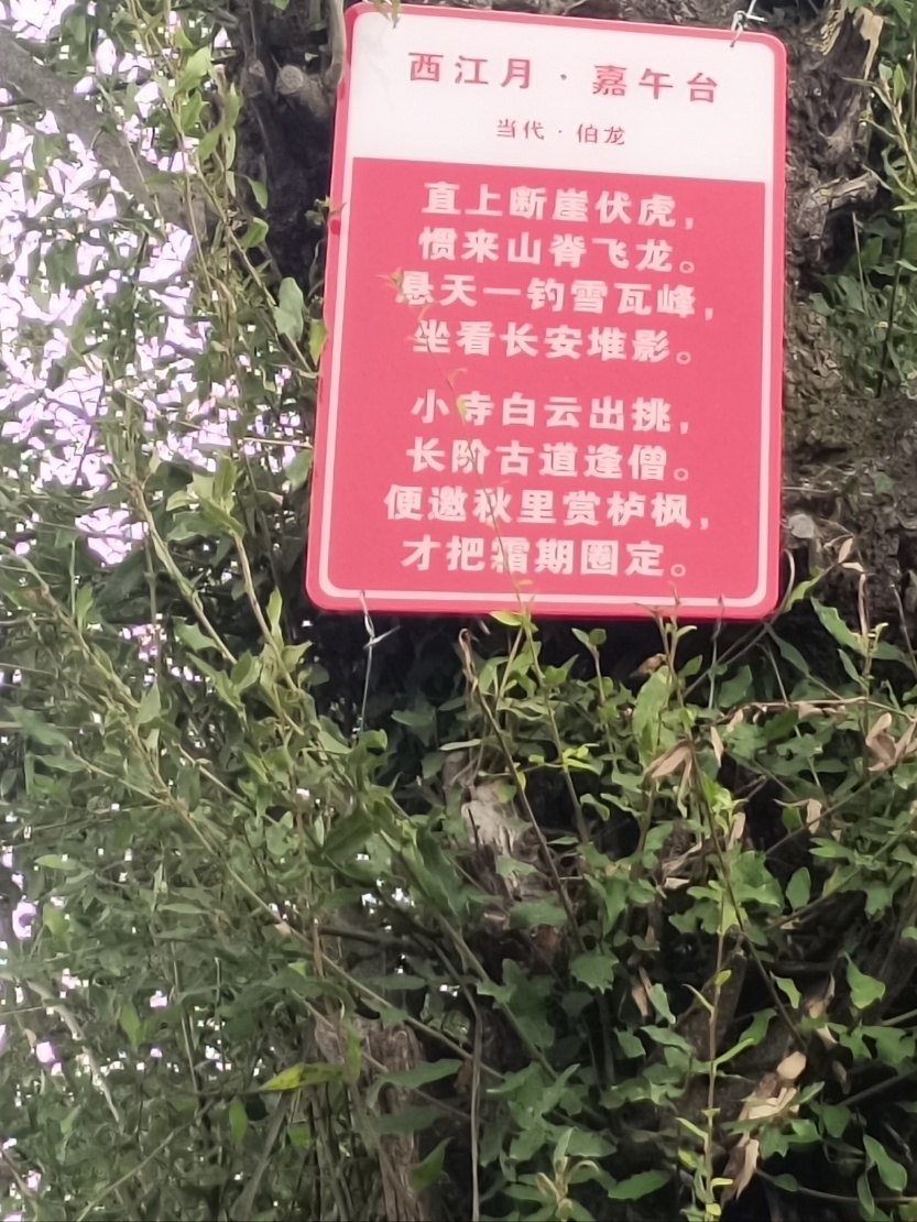 68c7969da0fe7.jpg